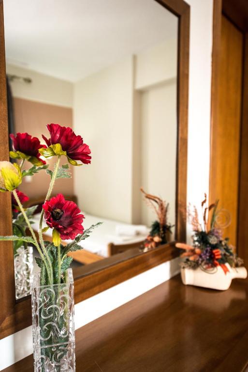 Hotel Alexandros 네오이포로이 객실 사진