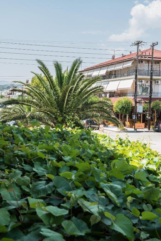 Hotel Alexandros 네오이포로이 객실 사진